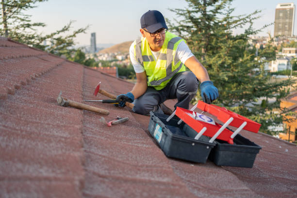 Best Stucco Siding  in Edgard, LA